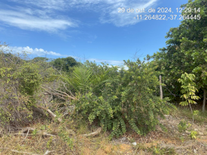Lote, Consultar, Loteamento Vila Rica do Abais
