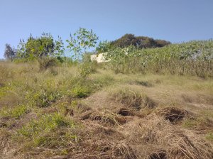 Lote em Mogi Guaçu (SP)